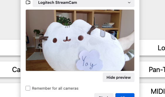 Webcam preview